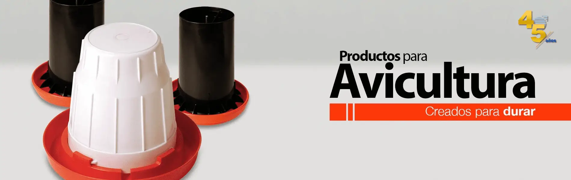 nuevo-banner-avicultura